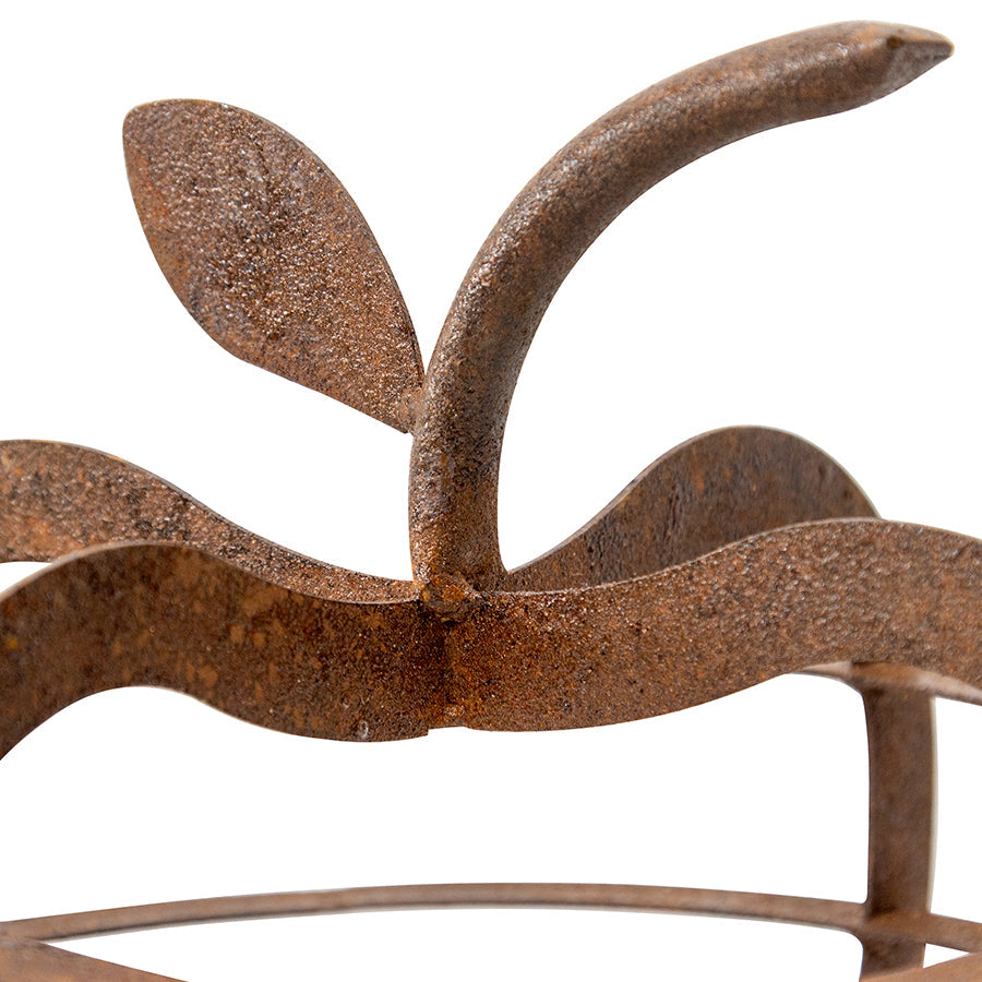 Contemporary Apple Decoration