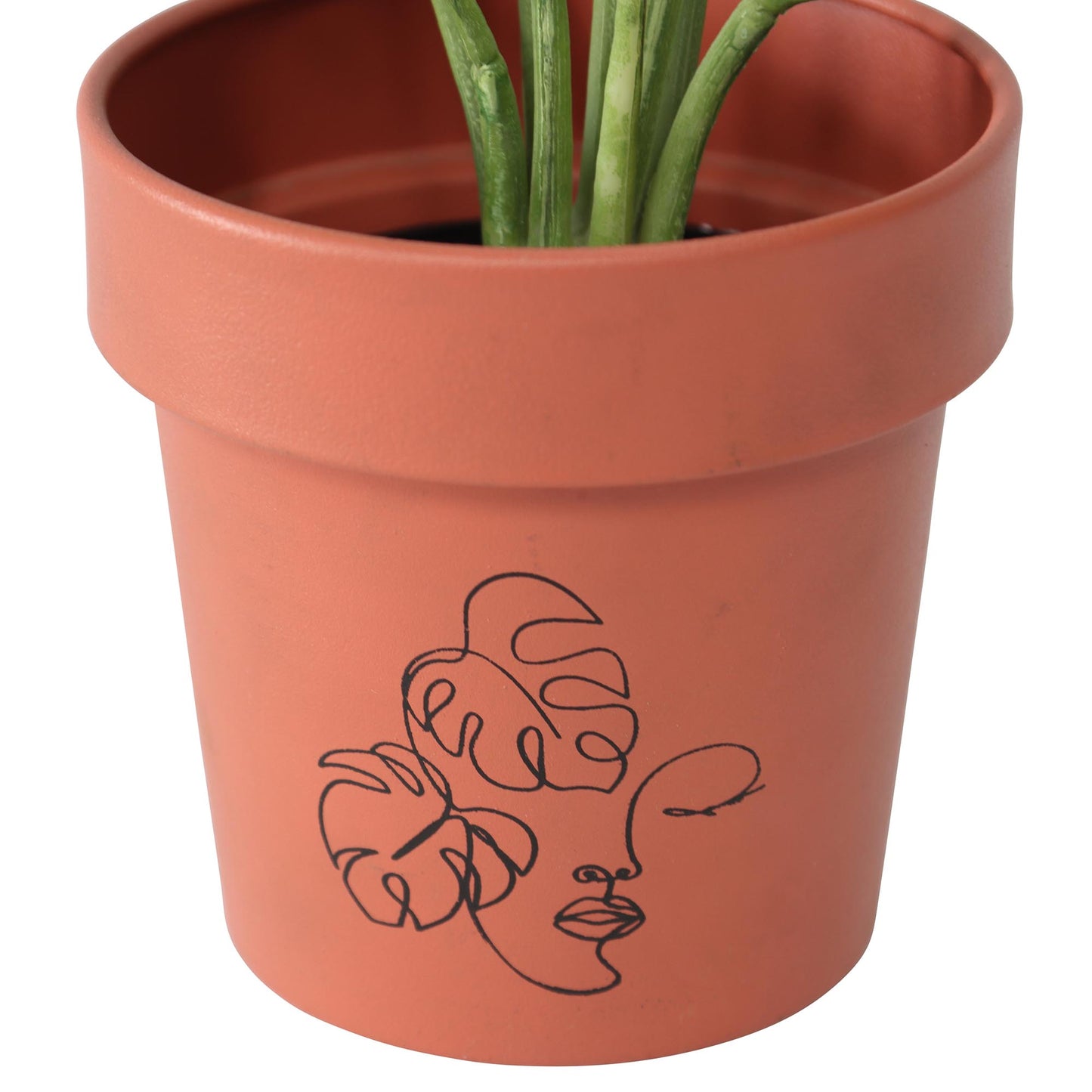 Line-Art Pot Planters