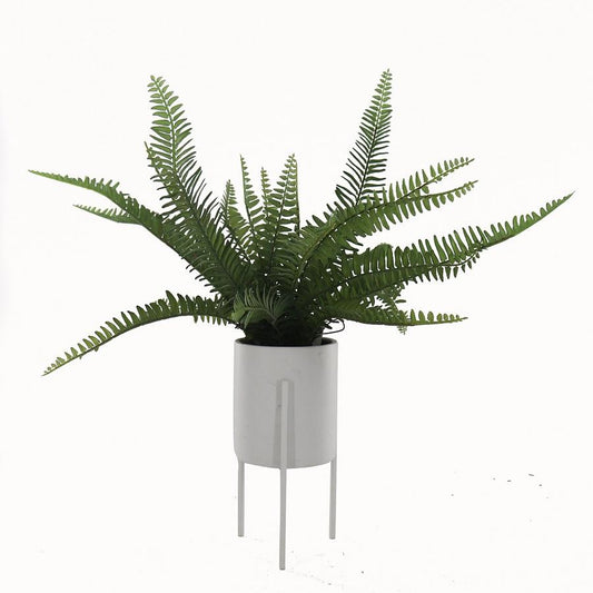 Boston Fern in Ceramic Pot with Stand