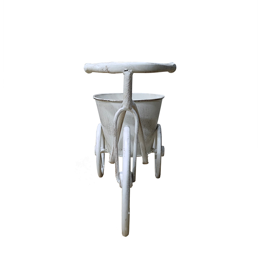 Country Garden Tri-Cycle with Basket Planter