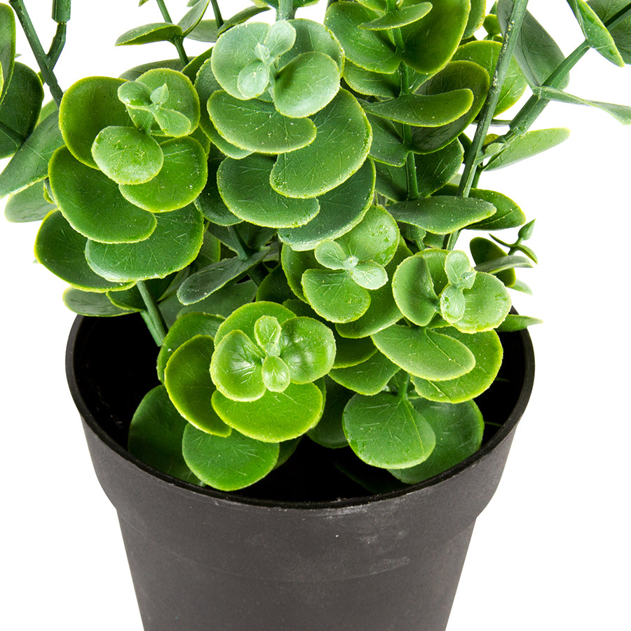 Eucalyptus Potted Artificial Plant