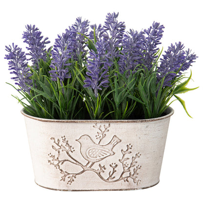 Lavender Plant in Oval Pot with Bird