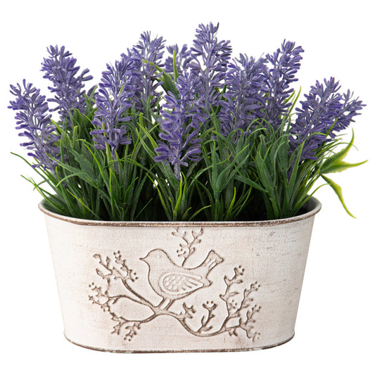 Lavender Plant in Oval Pot with Bird