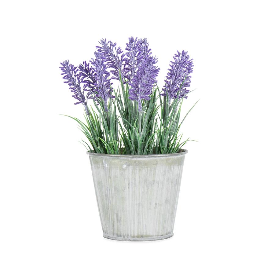 Lavender in Distressed Tin Pot
