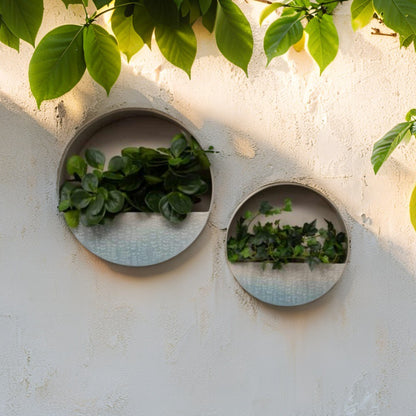 Leaf Stem Wall Planter - Set of 2