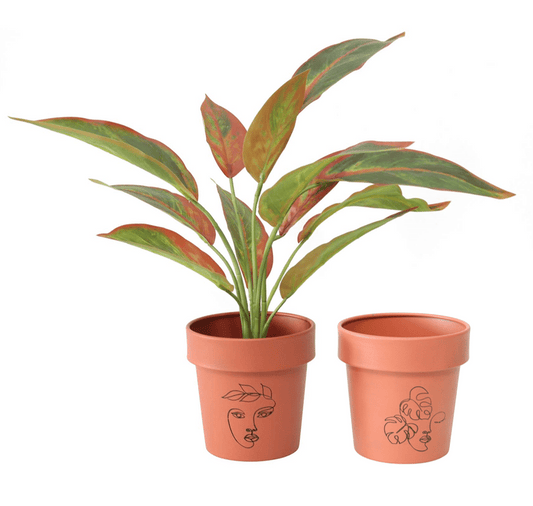 Line-Art Pot Planters