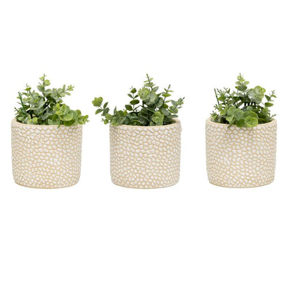 Moulded Abstract Pots - Set of 3