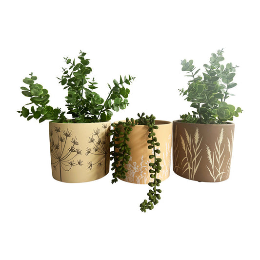 Palm Stripe Planters 