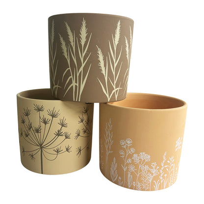 Palm Stripe Planters 