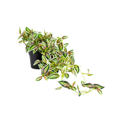 Verigated Weeper Hanging Artificial Potted Plant