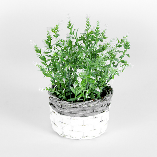 White Stem Flower in Basket