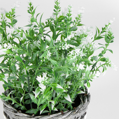 White Stem Flower in Basket